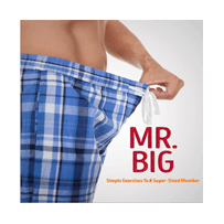 mr-big